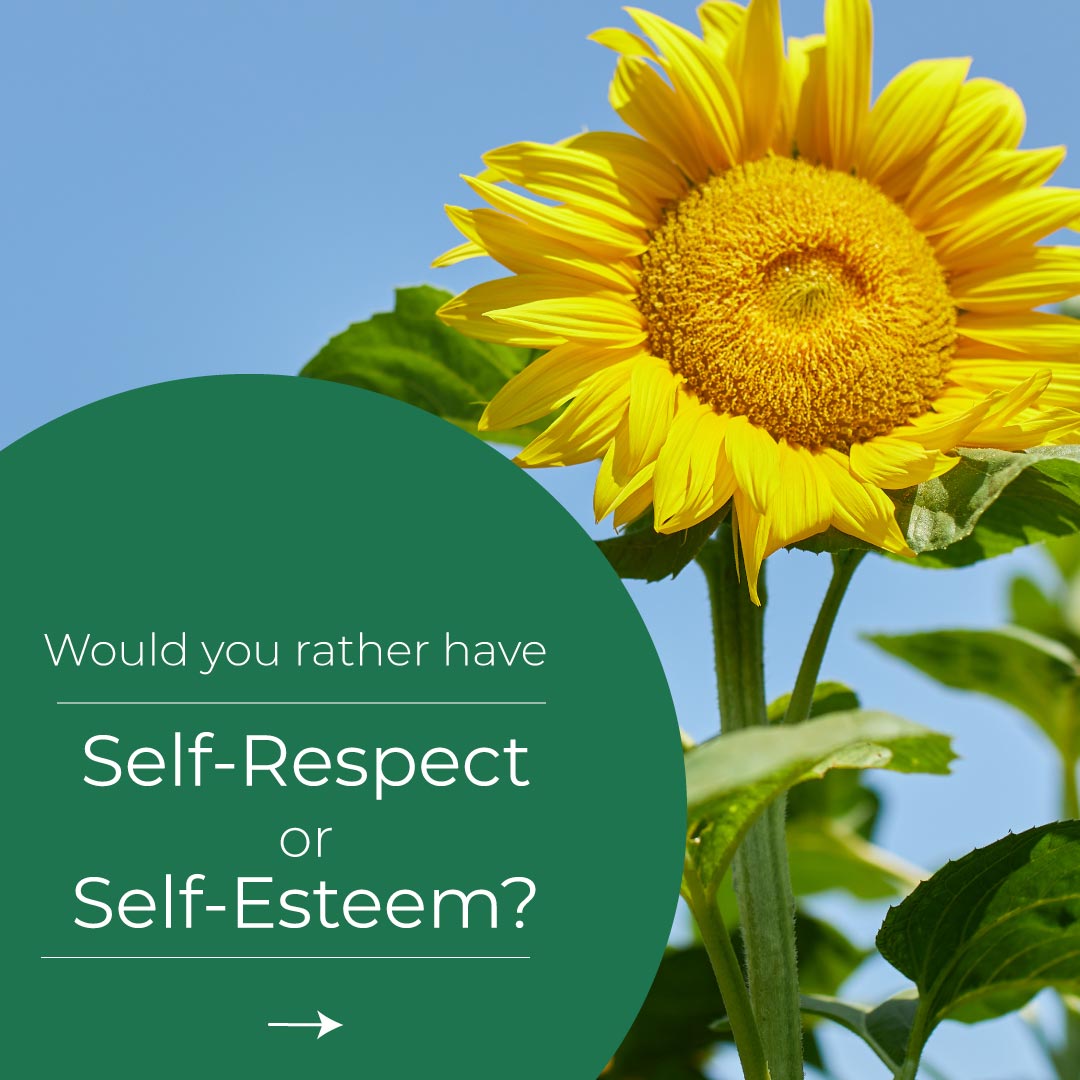 What is self respect vs self esteem, article by author Colleen Doyle Bryant