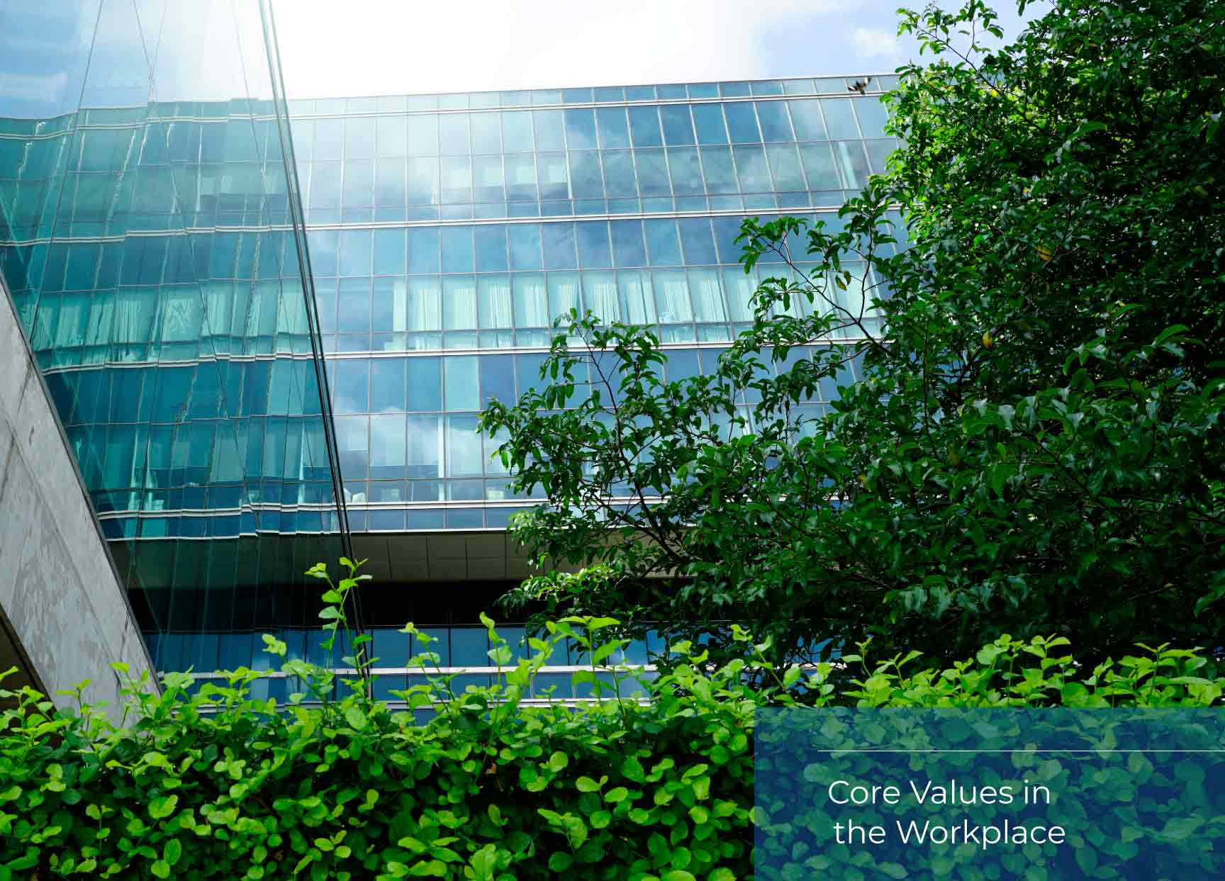 Resources on core values for the workplace