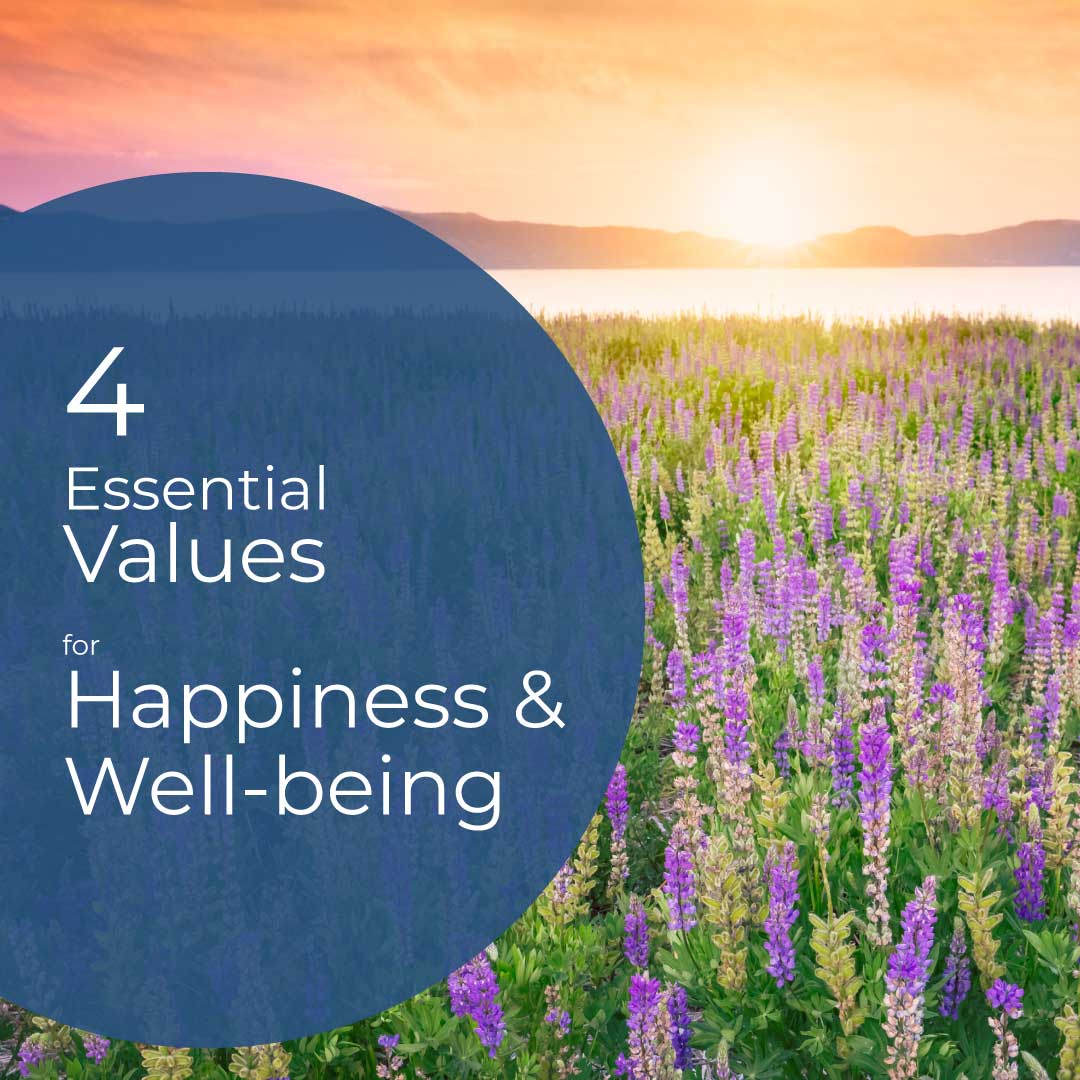 4 Core Values for Well-being- resource by Colleen Doyle Bryant