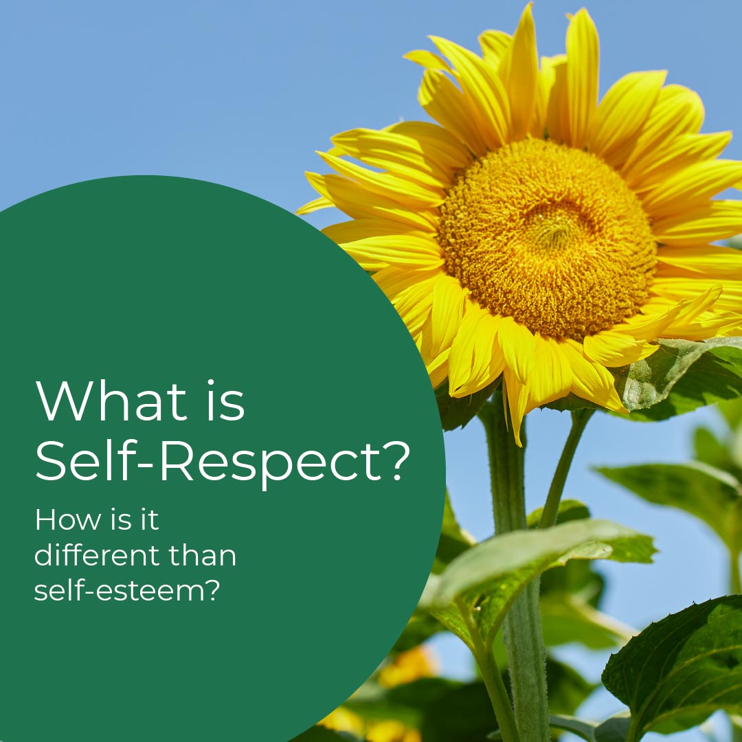 What is Self-Respect - resource by Colleen Doyle Bryant